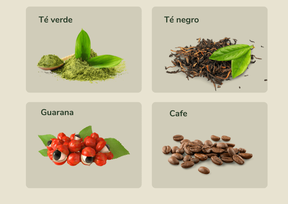 Ingredientes multitea
